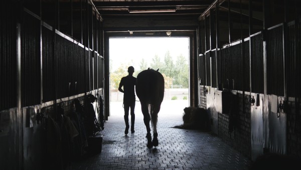 A person leading a horse through a barn aisle in the shadows.
