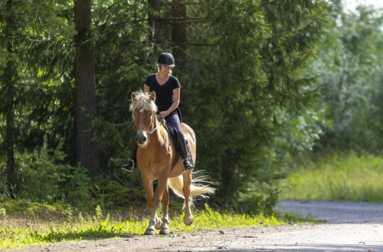 Woman horseback riding in forest