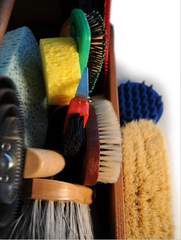 A Brush Buyer's Guide promo image