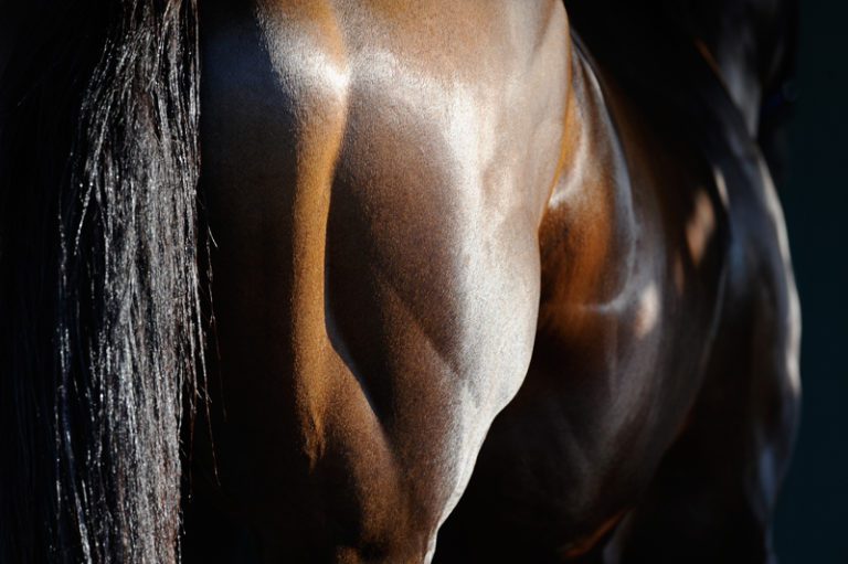 A Work of Art? No, It's Belmont Stakes Runner First Dude promo image