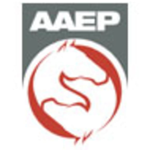 aaepgray-redlogoLR-770169
