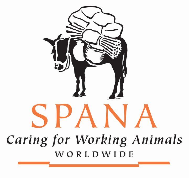 AAEP's 2010 Lavin Cup Award to SPANA for Third-World Equine Welfare and Education Efforts promo image
