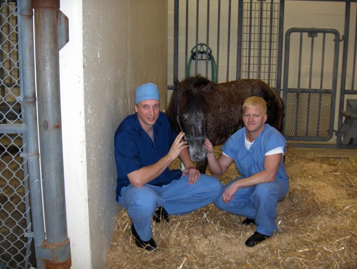 AAEP's "Good Works" Campaign: Nominate a Generous Equine-Specialist Veterinarian for Recognition promo image