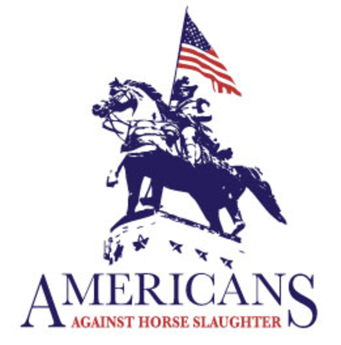 AAHS_logo_web-746026