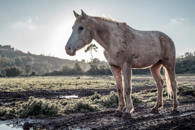 AdobeStock_191799841