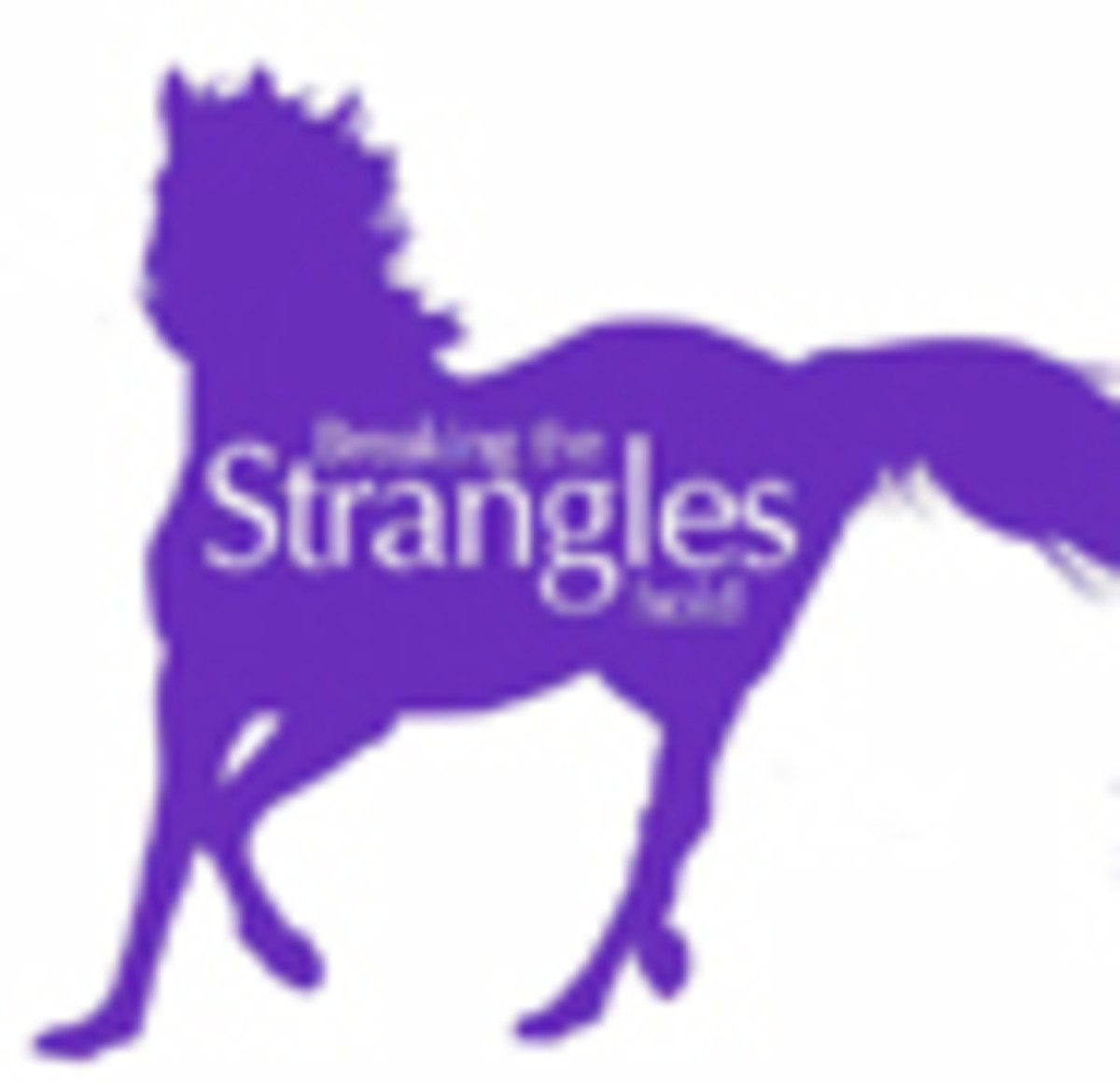 AHT-strangles_horse-734576