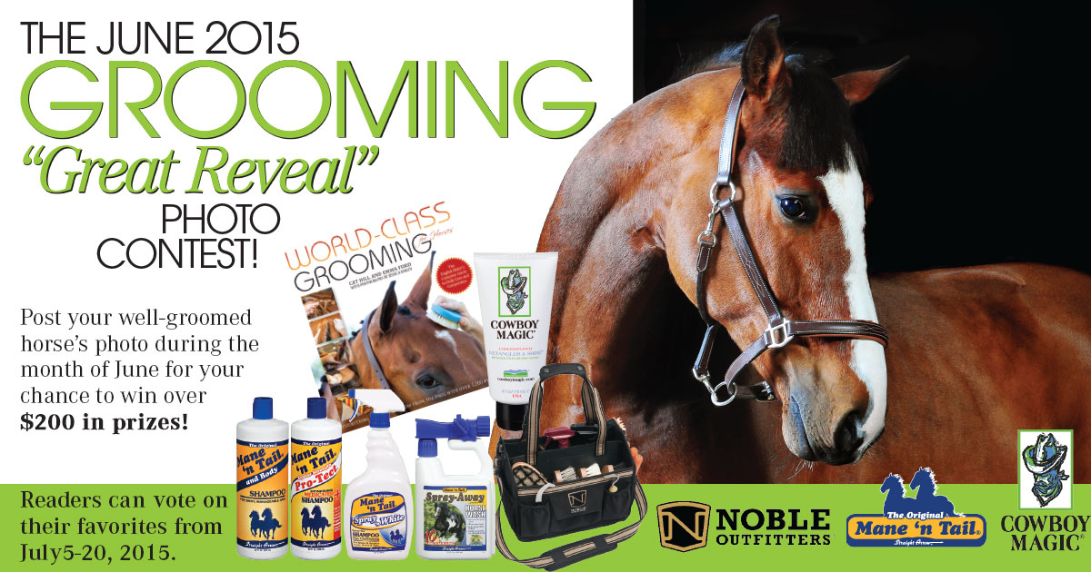 Announcing The EQUUS Magazine 2015 Grooming “Great Reveal” Photo Contest promo image