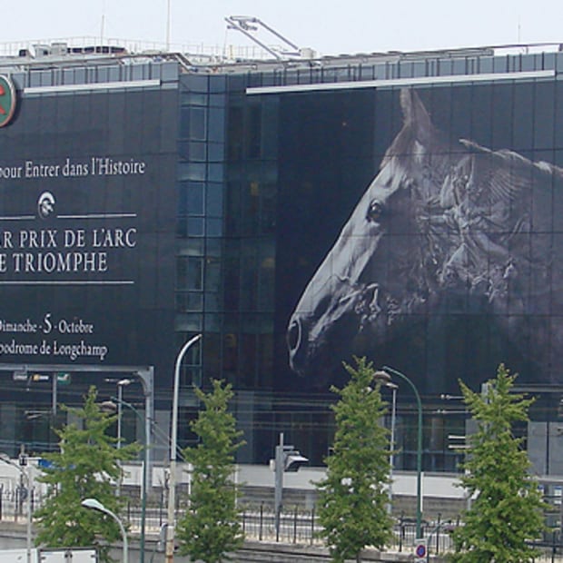 Au Contraire: On Parisian Billboards, Artistic Thoroughbreds Face Off Against Horse Steak promo image