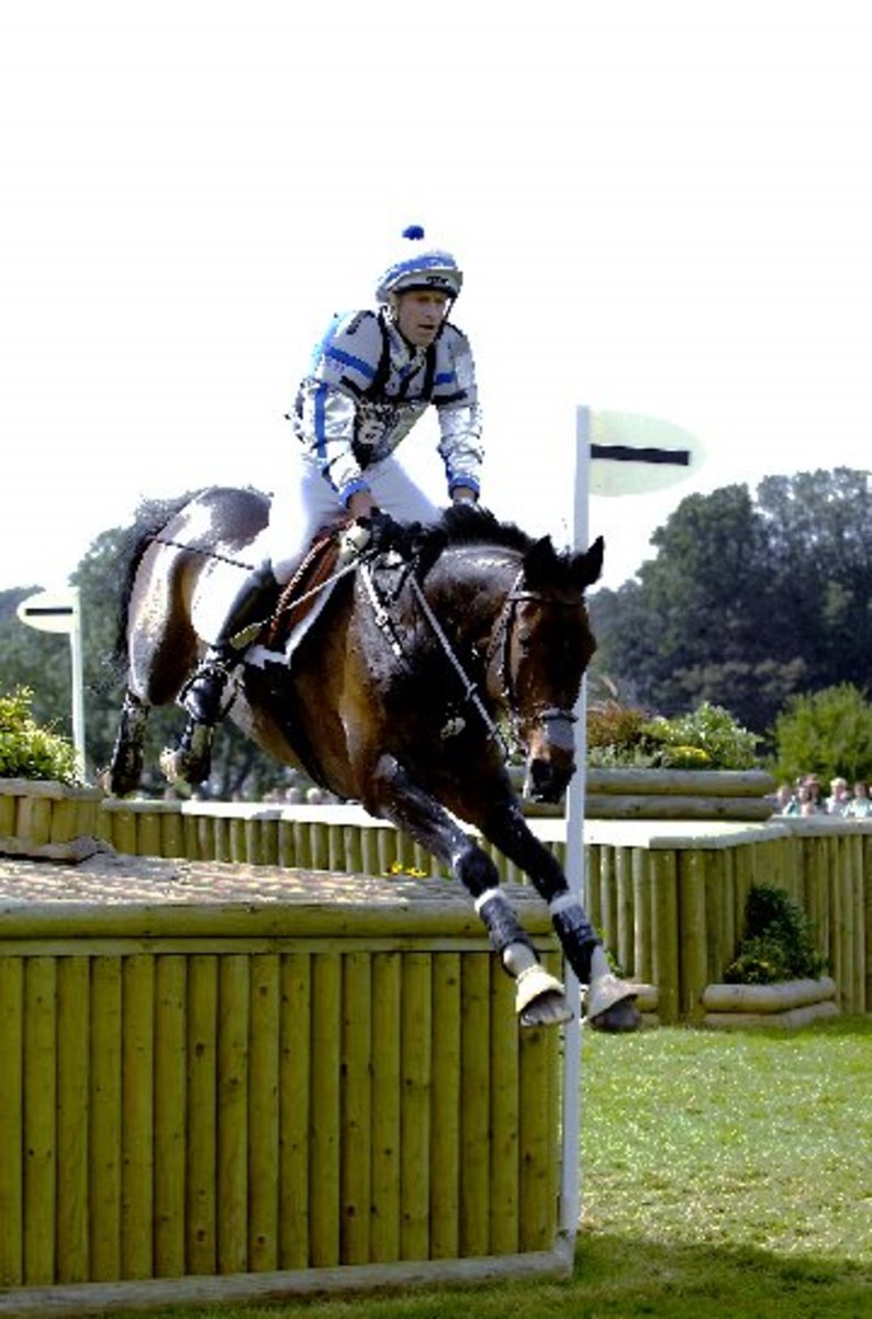 Australian Research Should Help Improve Rider Safety in Eventing promo image