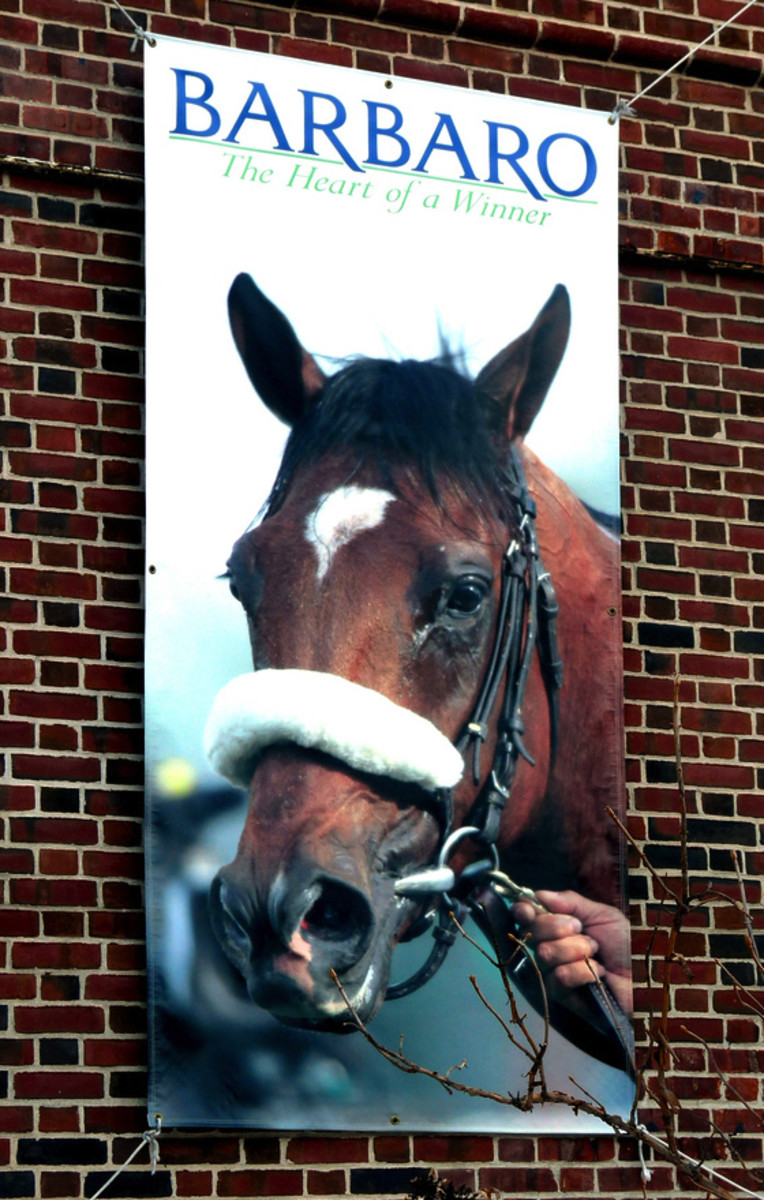 Barbaro poster
