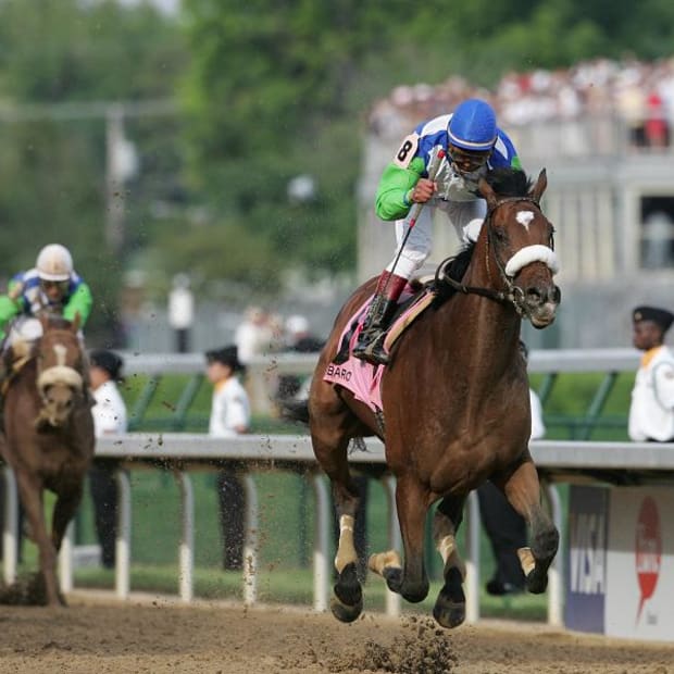 Barbaro