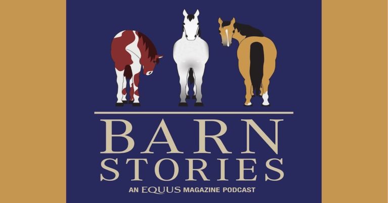 barn stories ad size