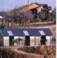 barn