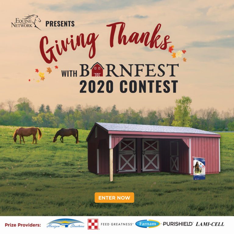 Barnfest-digital-banner_1200x1200-less-copy
