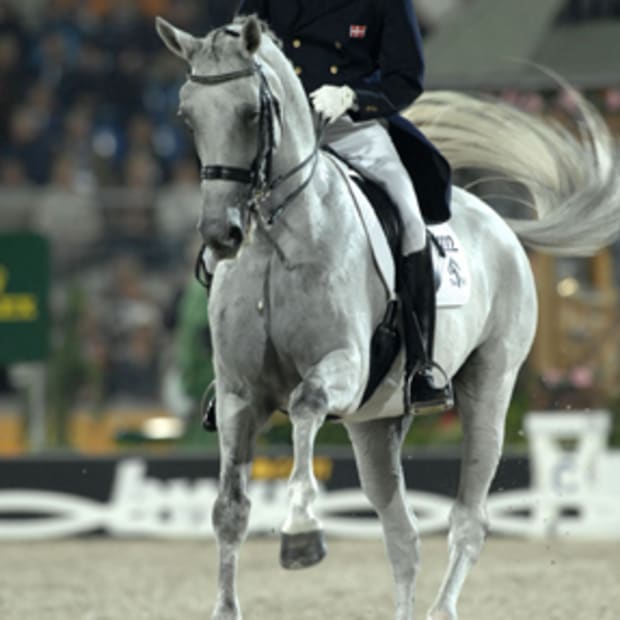 Blue Hors Matine Still Injured, Will Miss Euro Championship promo image