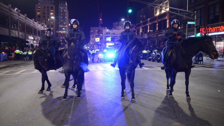boston police horses