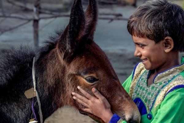 Brooke India appeal