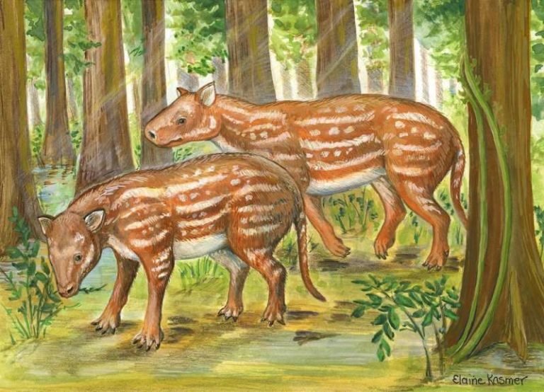 Cambaytherium-artwork