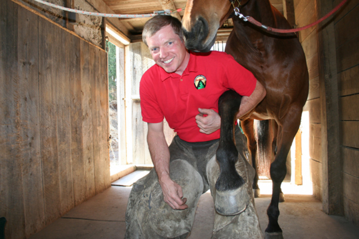 Cornell Vet School Appoints Farrier to Faculty Position promo image