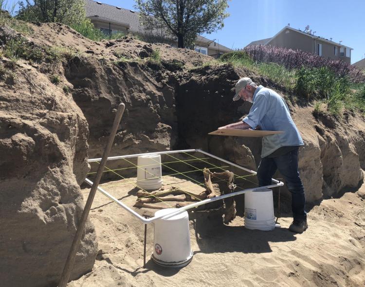 CU horse arch dig