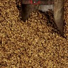 Don't Poison Your Horse with Cattle Feed promo image