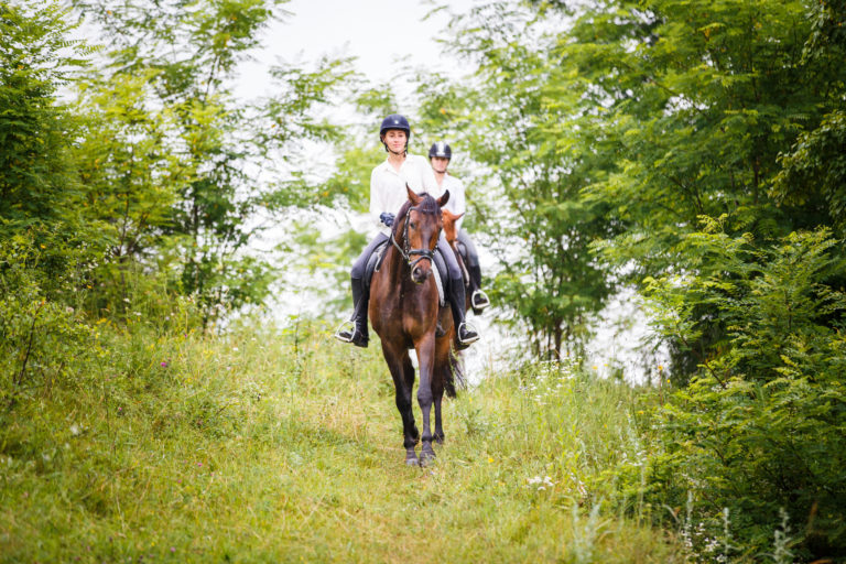 A horse and rider going downhill on a trail during summer