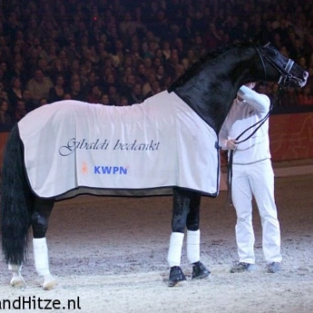 Edward_DenBoschGribaldi006