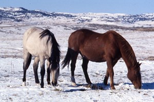 eqquiz017