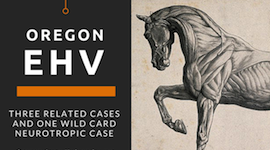 Equine Herpes Virus Intensifies and Diversifies in Oregon Horses promo image