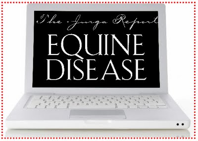 Equine Infectious Anemia (EIA) in Missouri: Why Coggins Tests Are Important! promo image