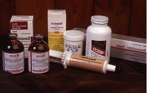 equine-medication