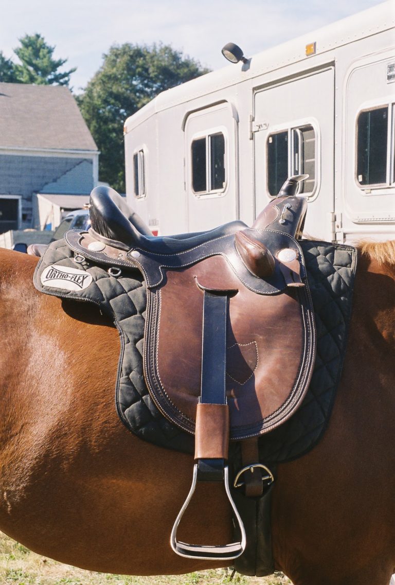 Equine Obesity Campaign: Girth Tapes in the Wrong Place, Researchers Contend promo image