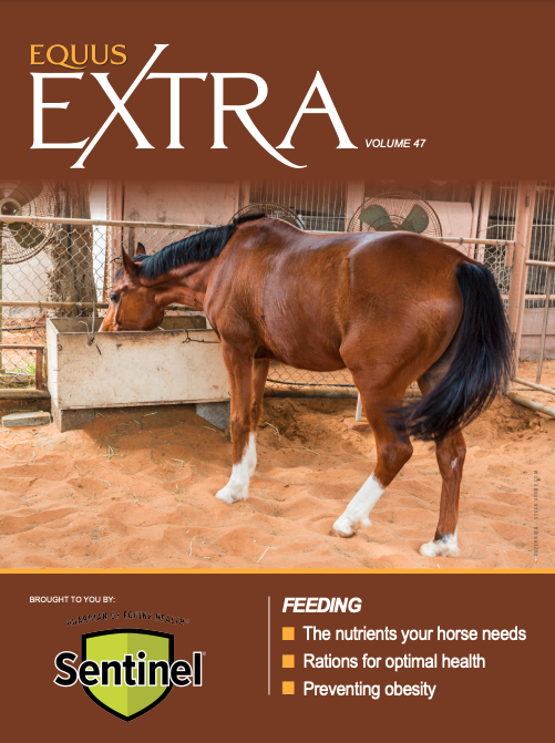 equus extra 47 feeding