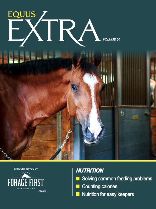 EQUUS Extra 50 Feeding Problems