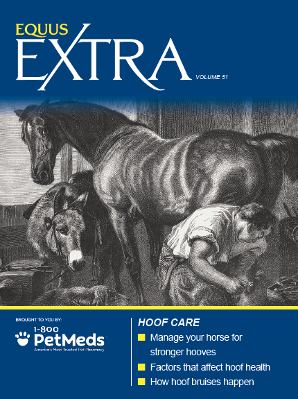 EQUUS Extra 51 Hoof Care