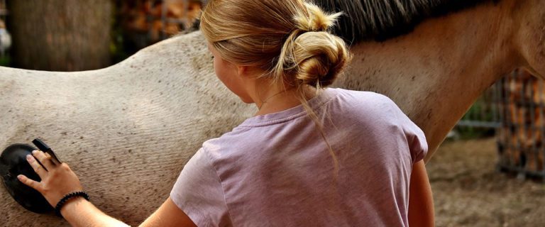 EQUUS-Extra-grooming