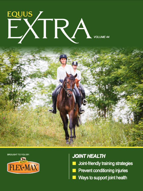 EQUUS Extra Joint Health
