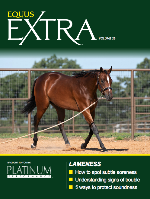 EQUUS Extra Lameness Cover