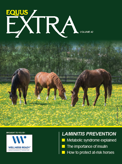 EQUUS Extra Laminitis Prevention