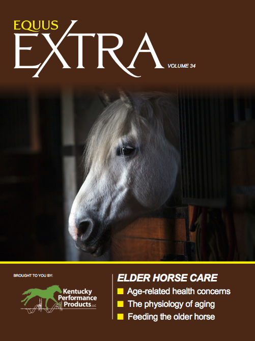 equus extra senior horse care