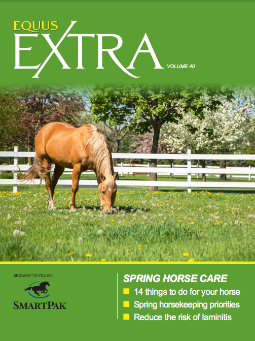 EQUUS Extra Spring Horse Care