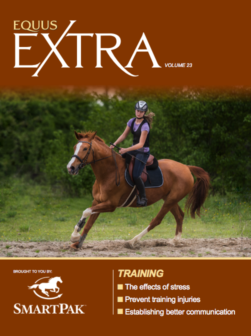 EQUUS Extra Training