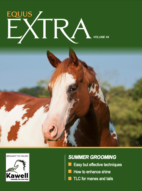 EQUUS Extra Vol 49 Summer Grooming
