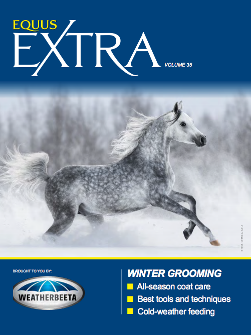 equus extra winter grooming