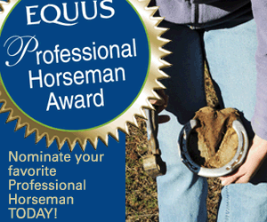 equus_professional_horseman_300
