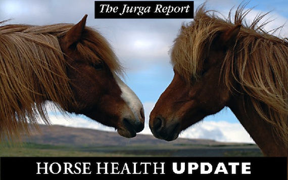 FDA Announces Voluntary Recall of Some Bags of Manna Pro's "Family Farm Complete" Horse Feed in Western States promo image