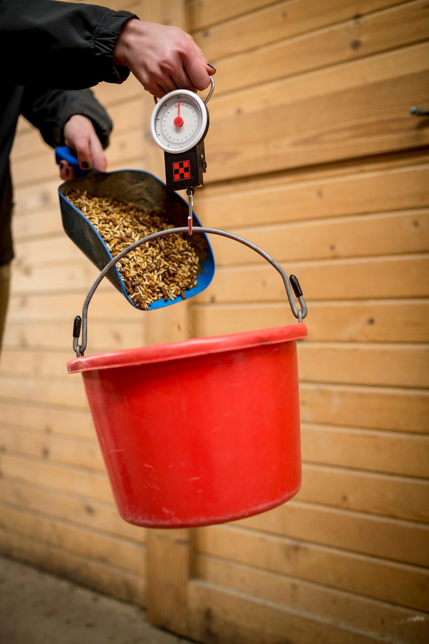 A woman pouring grain into a bucket that is attached to a hanging scale.