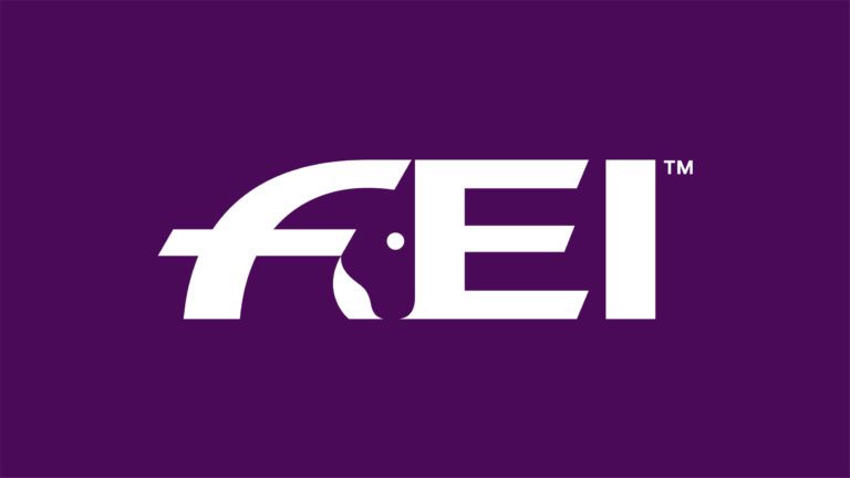 FEI logo