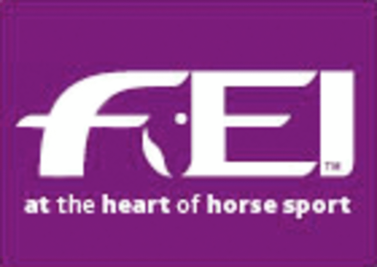 FEI-logo-790406
