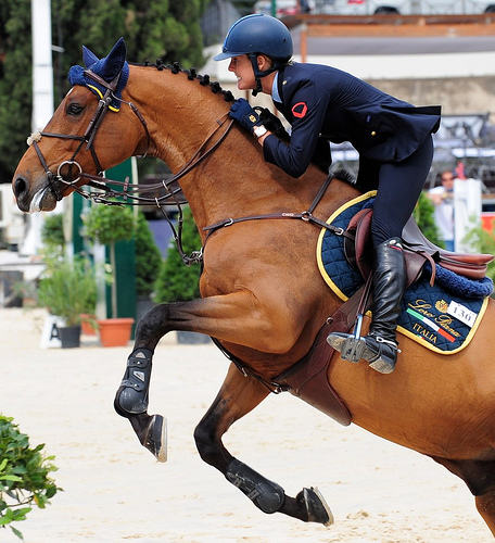 FEI NSAID UPDATE: Possible Use of Meds Between (But Not During) Competitions Proposed promo image
